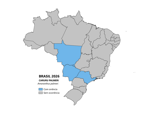 Ocorrência da praga no Brasil
