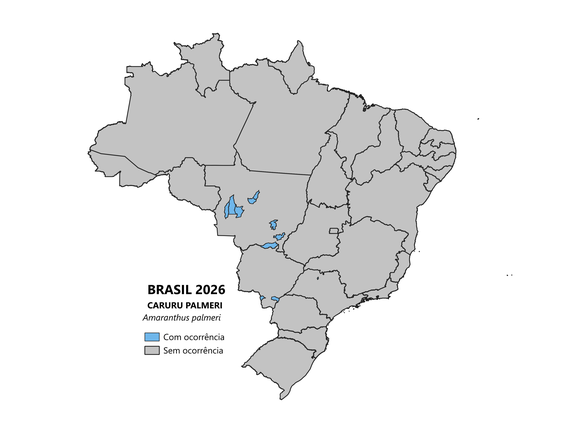 Municípios com ocorrência da praga