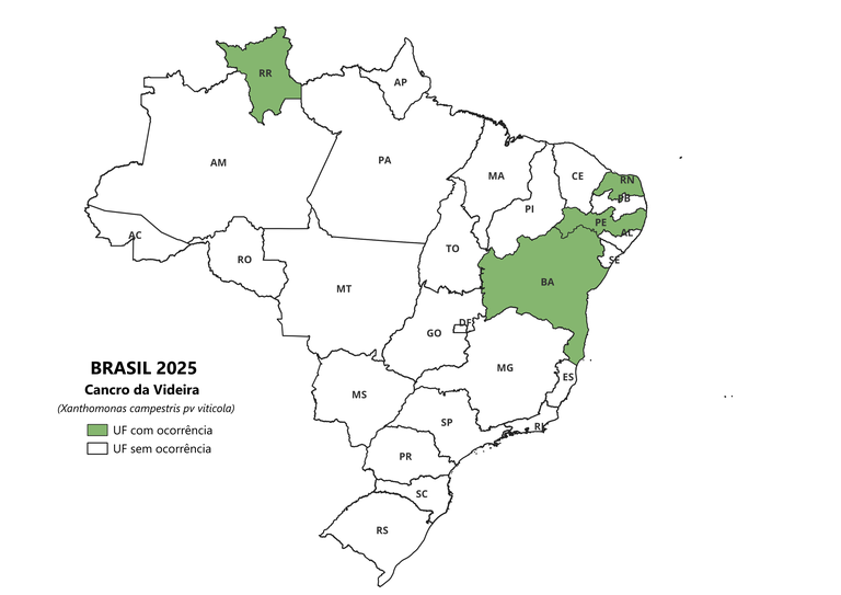 Ocorrência da Praga Xanthomonas campestris pv viticola