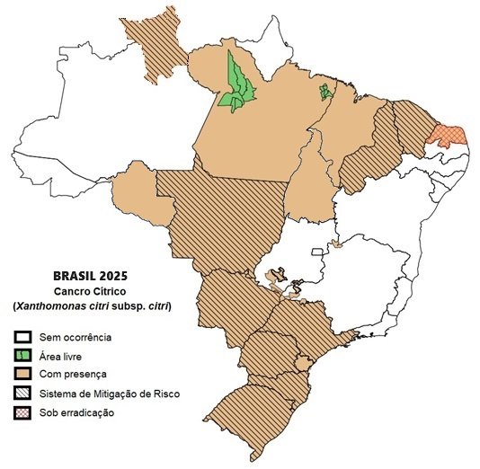 Mapa distribuição da praga no Brasil