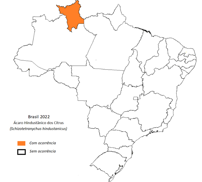 Distribuição da praga
