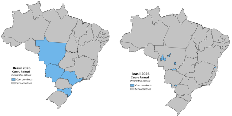 distribuição