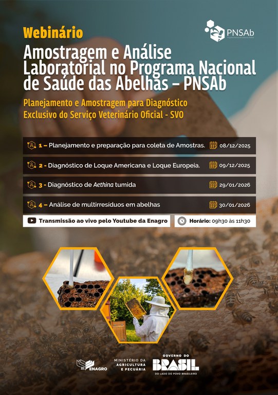 Webinário PNSAb 2025/2026