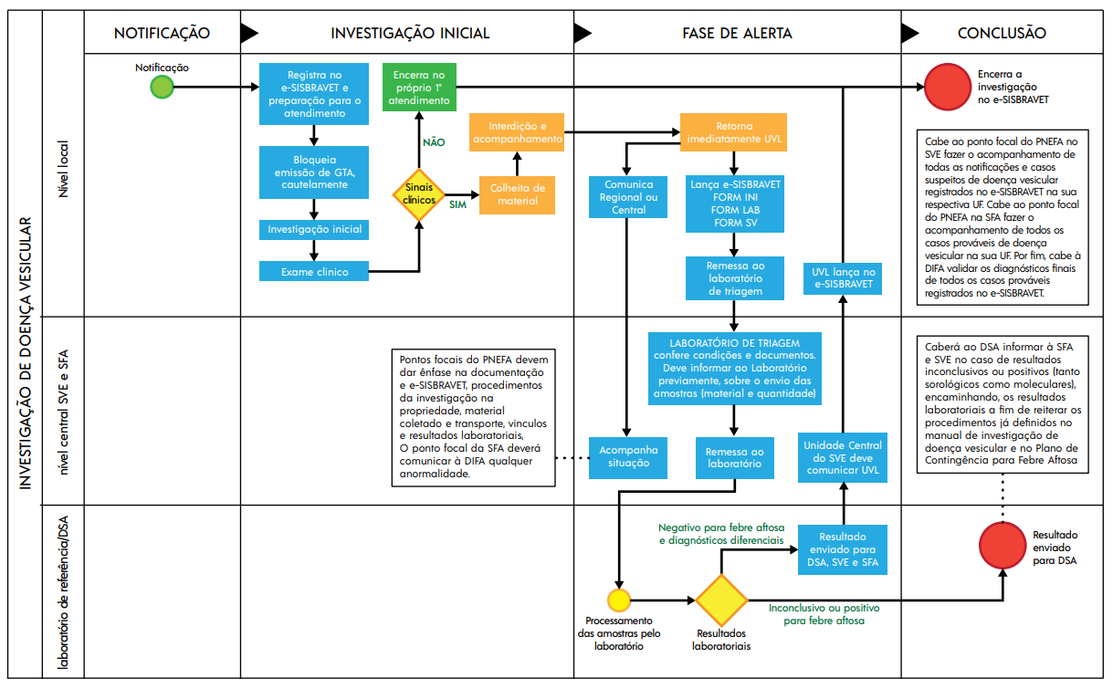Fluxo de informação da investigação de doença vesicular