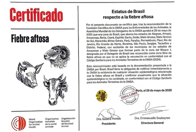 Certificado OMSA Esp