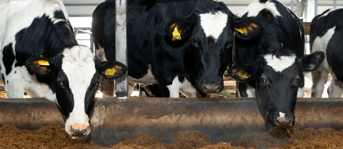 Programa Nacional de Prevenção e Vigilância da Encefalopatia Espongiforme Bovina – PEEB.png