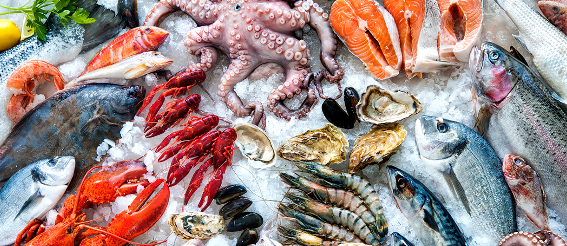 sanidade dos animais aquáticos.png