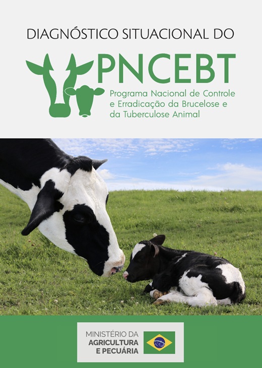 Diagnóstico Situacional do PNCEBT
