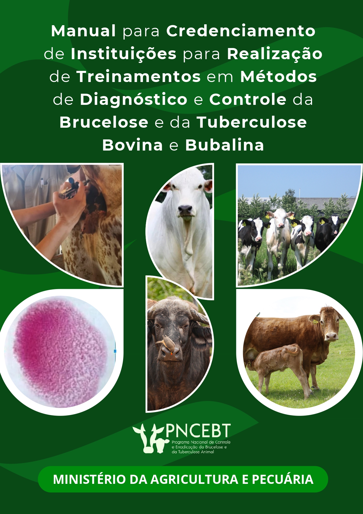 Manual para Credenciamento de Instituições para Realização de Treinamentos em Métodos de Diagnóstico e Controle da Brucelose e da Tuberculose Bovina e Bubalina