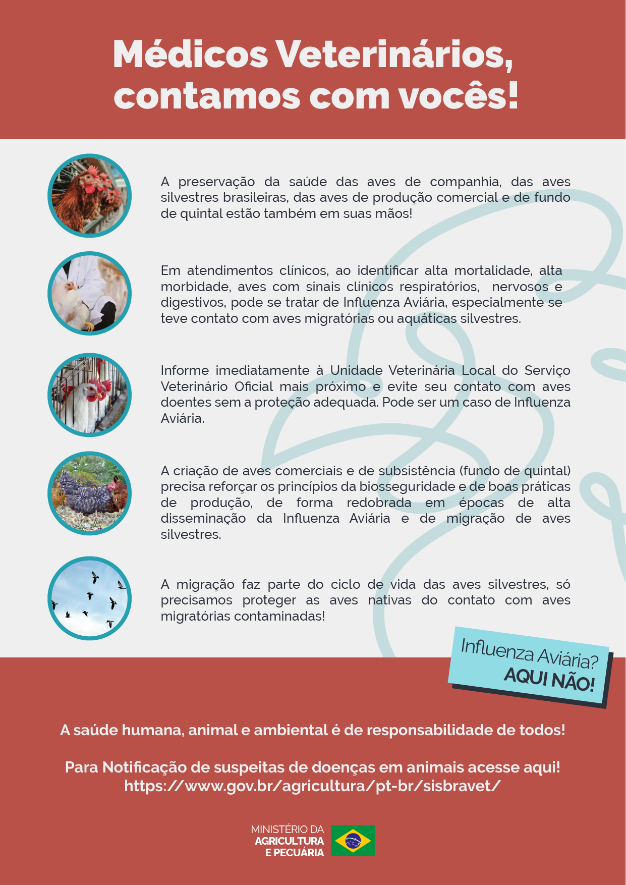 Cartaz médicos veterinários