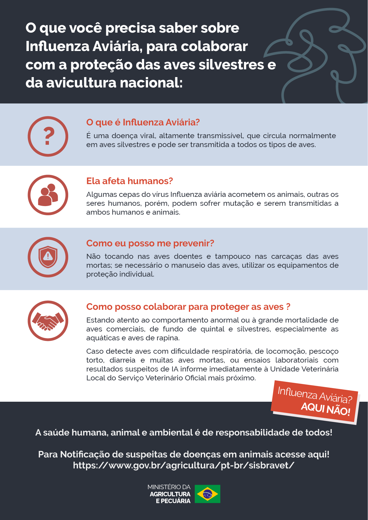 Proteção das Aves Silvestres