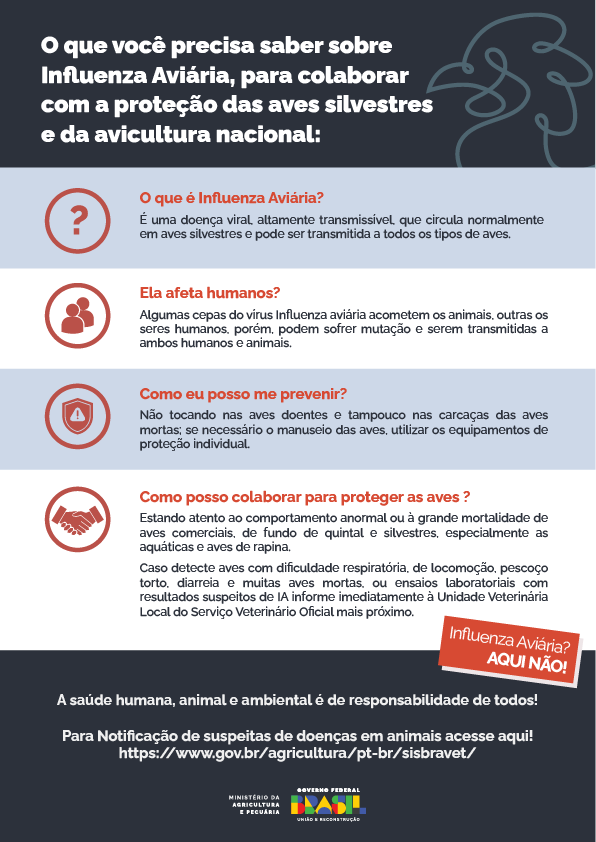 Proteção das Aves Silvestres