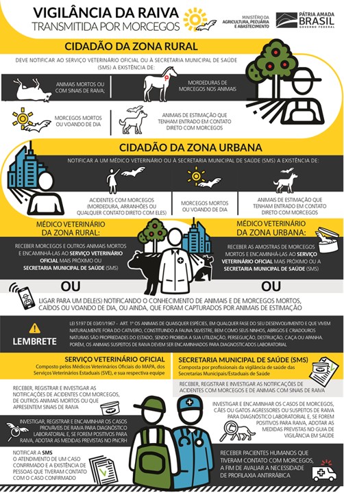 INFOGRÁFICO MV