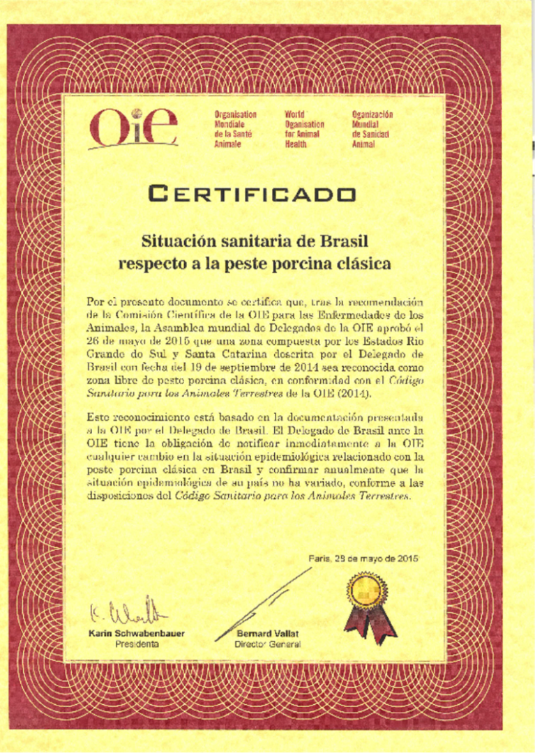 certificado2.png