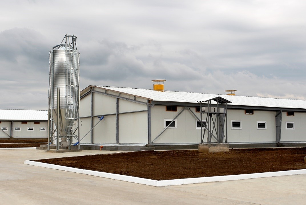 Granja de Reprodutores Suídeos Certificada (GRSC).jpg