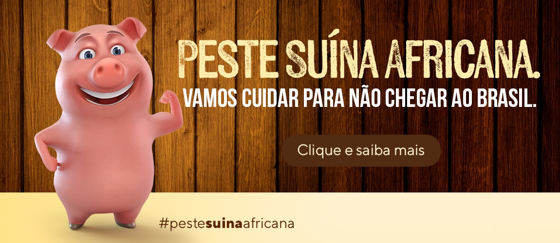 Campanha contra a Peste Suína Africana