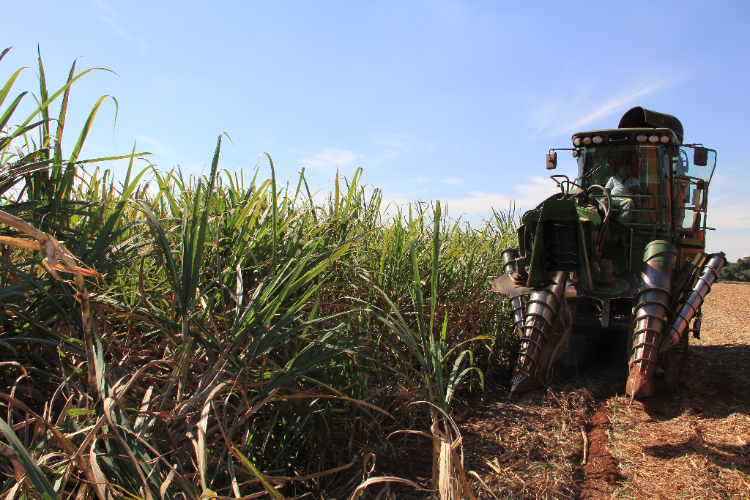 Acompanhamento da Produção