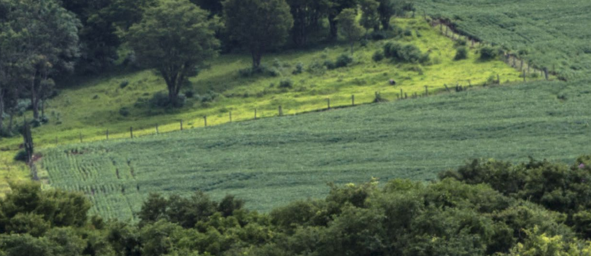 Diretrizes para o Desenvolvimento Sustentável da Agropecuária Brasileira