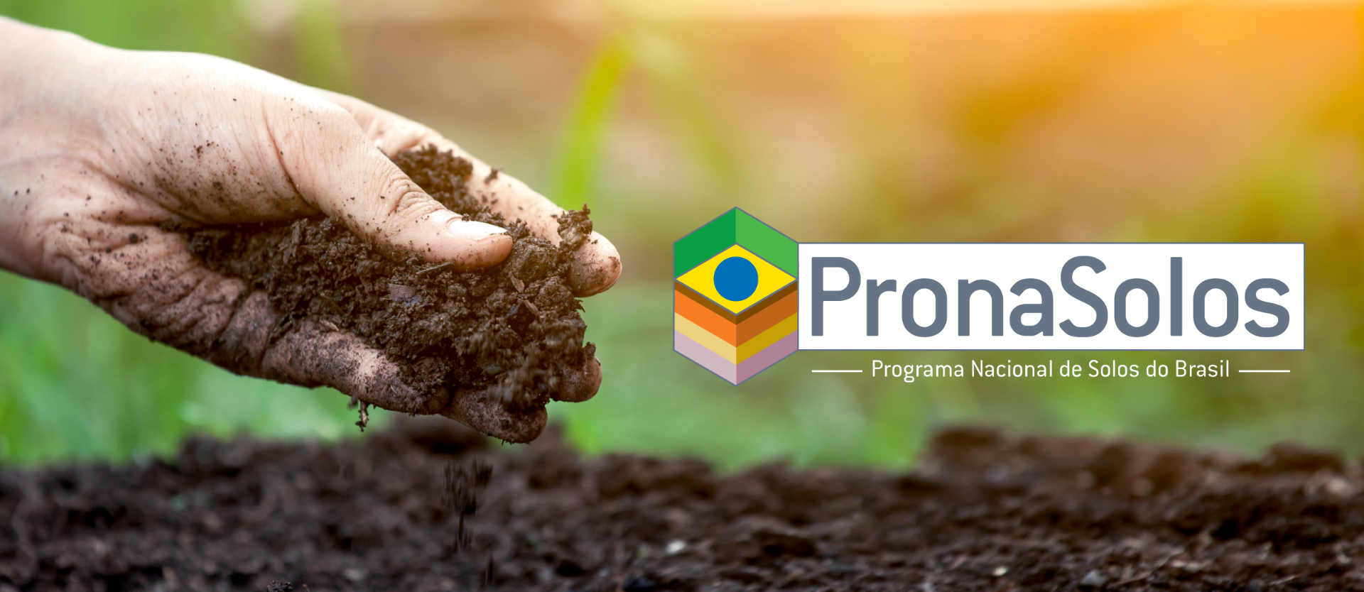 Programa nacional de solos do Brasil