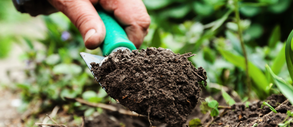 Boas Práticas Agropecuárias