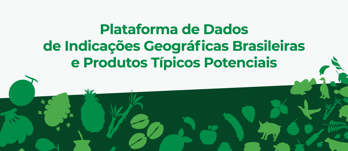 Plataforma de dados IG