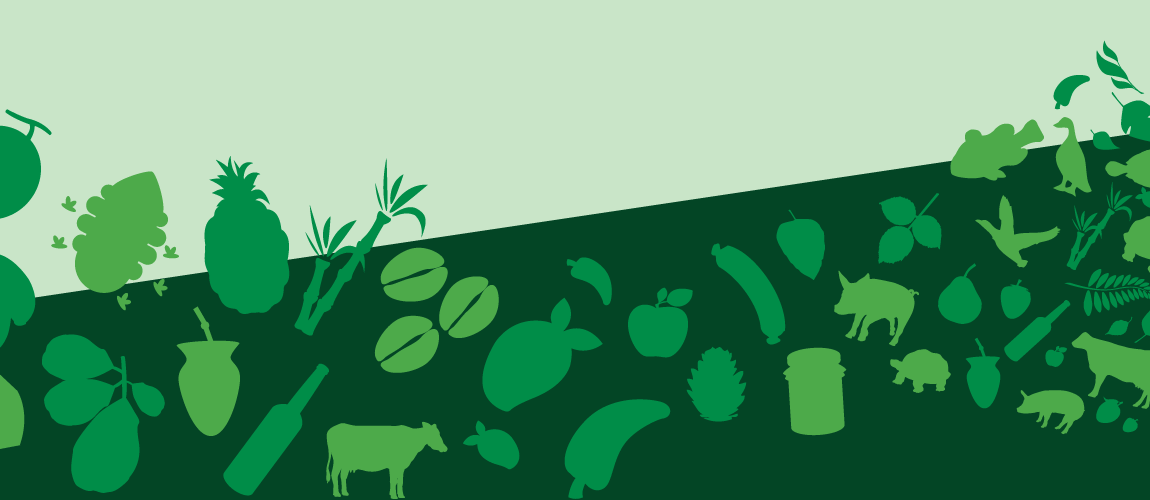 Plataforma de Dados de Indicações Geográficas Brasileiras e Produtos Típicos Potenciais