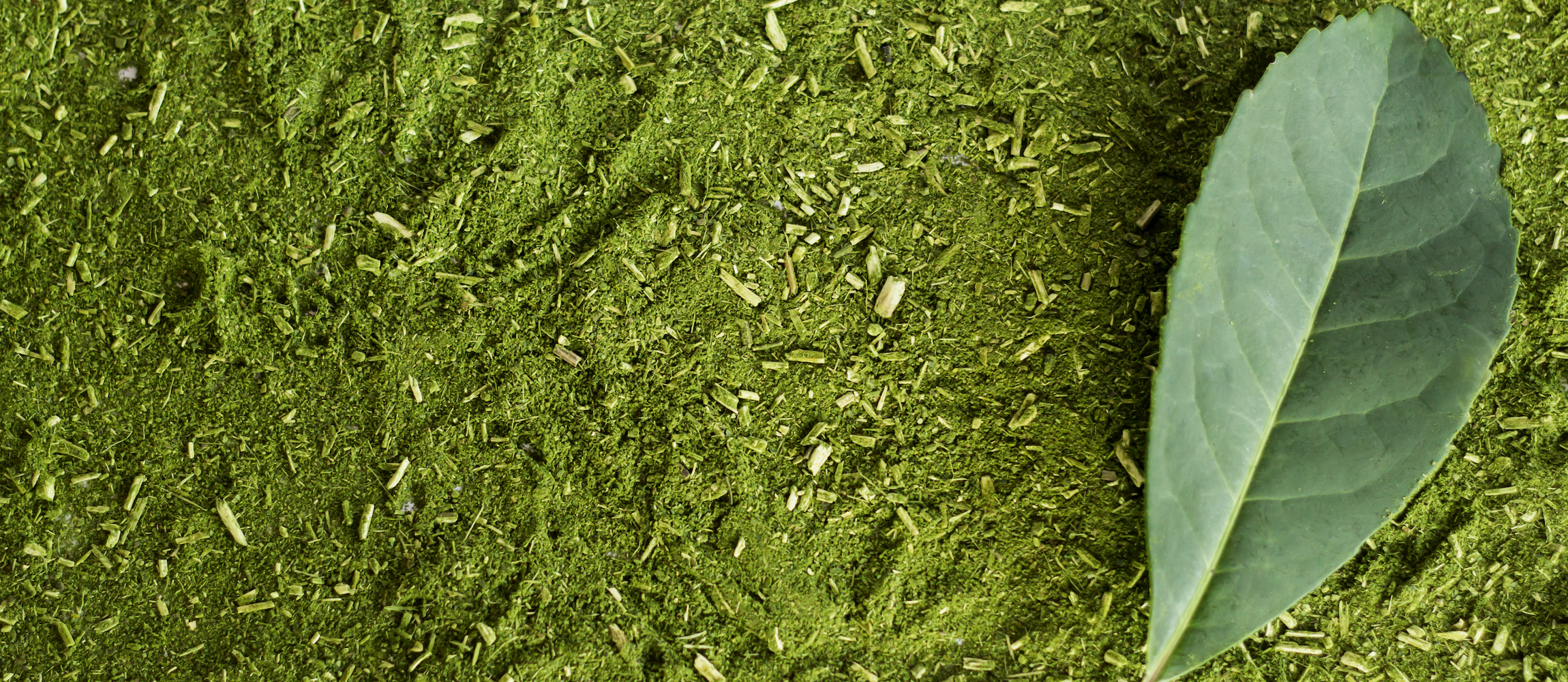 Fóruns Estaduais de Indicações Geográfica e Marcas Coletivas