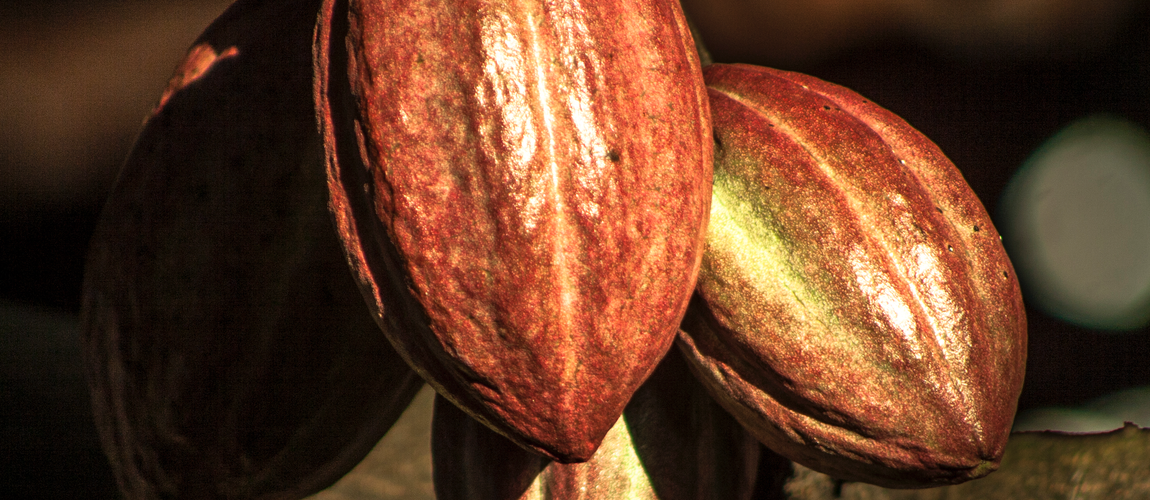 O que Marca Coletiva? Como obter o registro