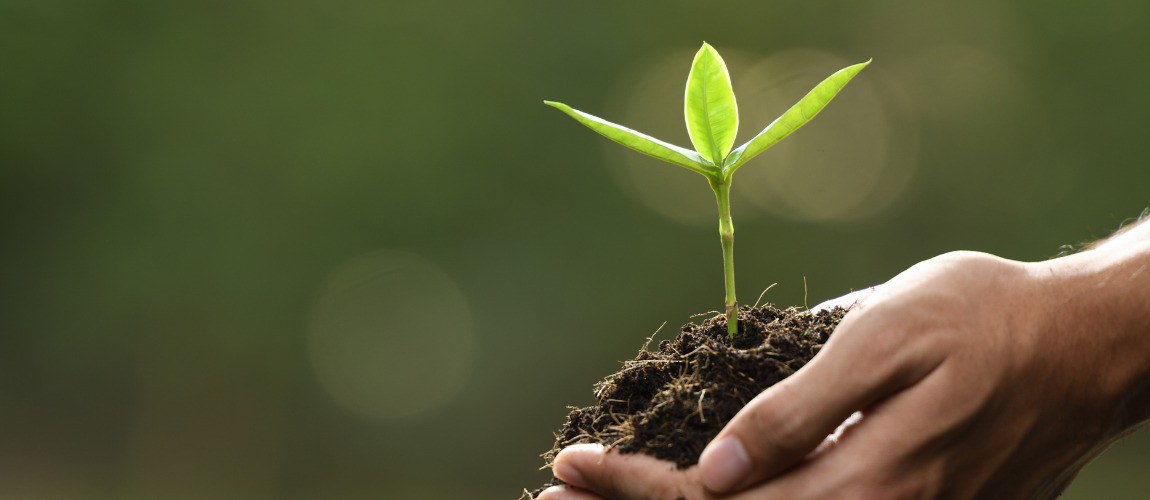 Cadastro de Produtores