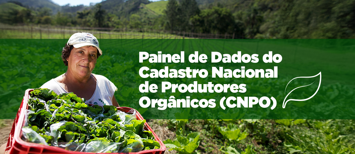 banner cnpo.png
