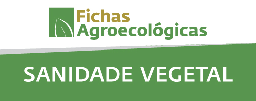 Sanidade Vegetal