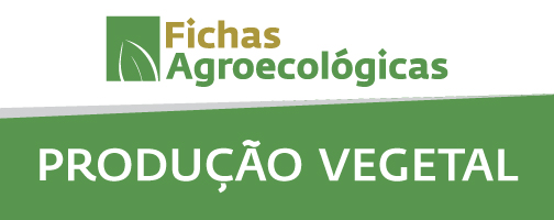 Produção Vegetal