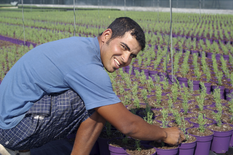 Cadastro de produtores