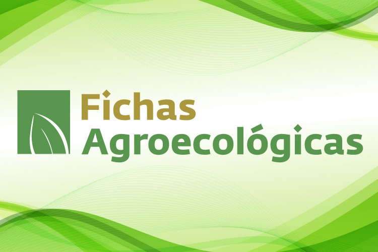 Fichas Agroecológicas