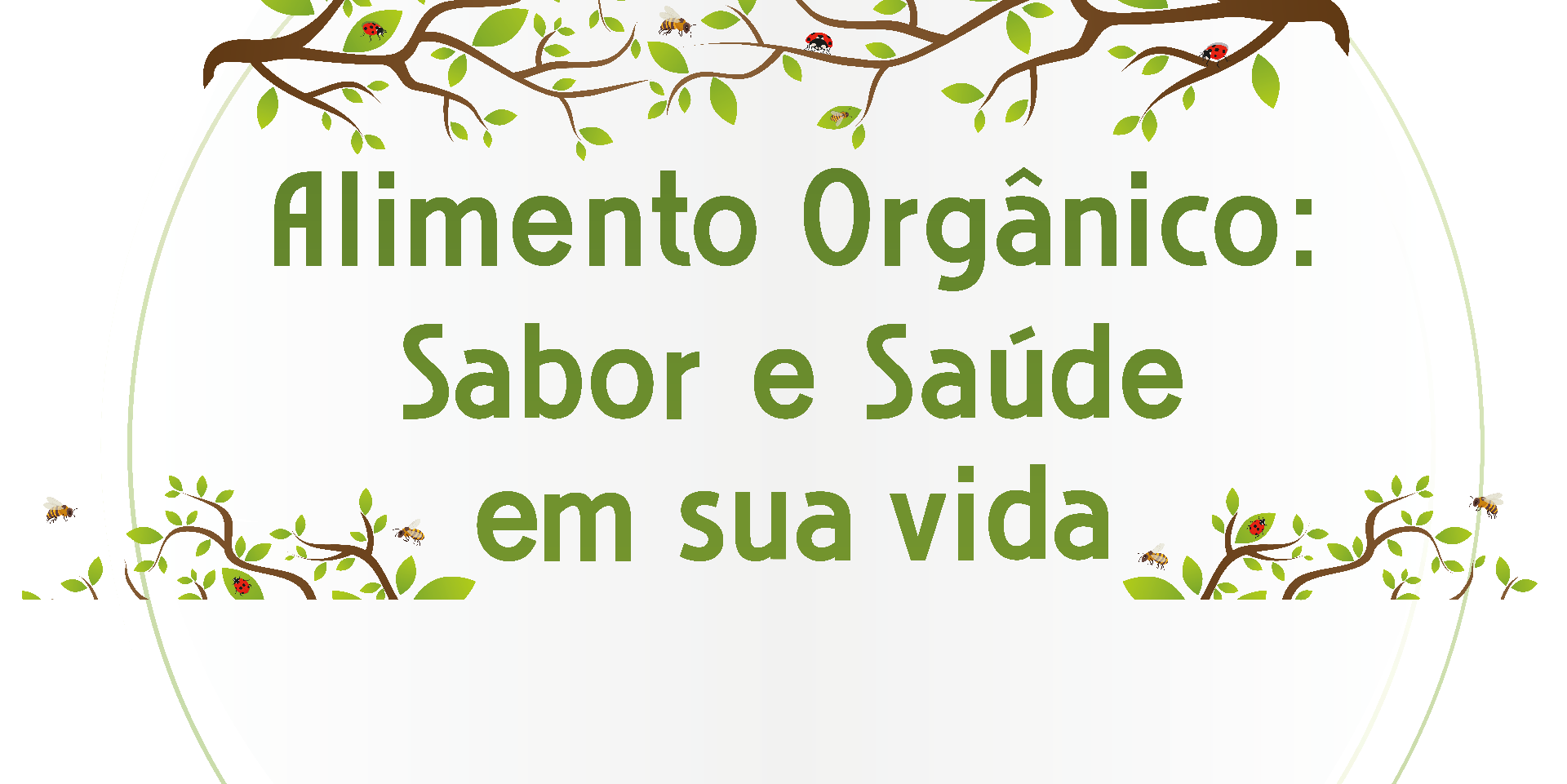 TESTEIRAS modular-07.png