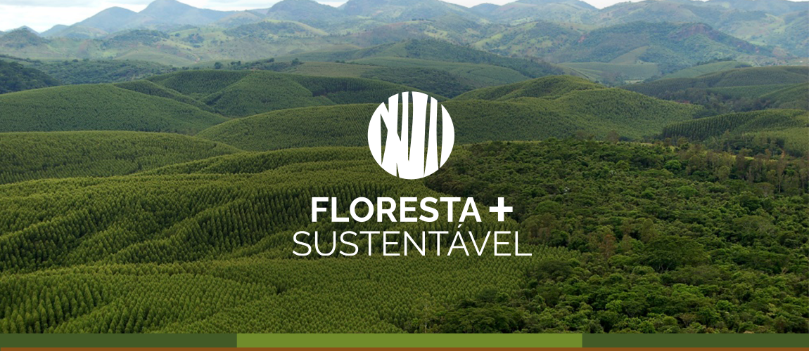 Plano Floresta+Sustentável