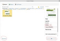 Orientação como inserir imagem