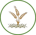 Sistema Plantio Direto de Grãos (SPDG)