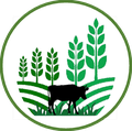Integração Lavoura-Pecuária-Floresta (ILPF)