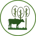 Sistemas Agroflorestais (SAF)