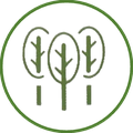 Florestas Plantadas (FP)