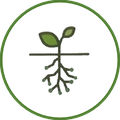 Bioinsumos (BI)