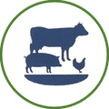 Manejo de Resíduos da Produção Animal (MRPA)