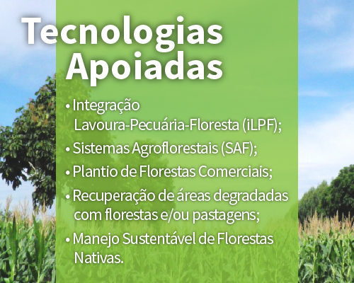 material-bid_banner interno_banner interno.png