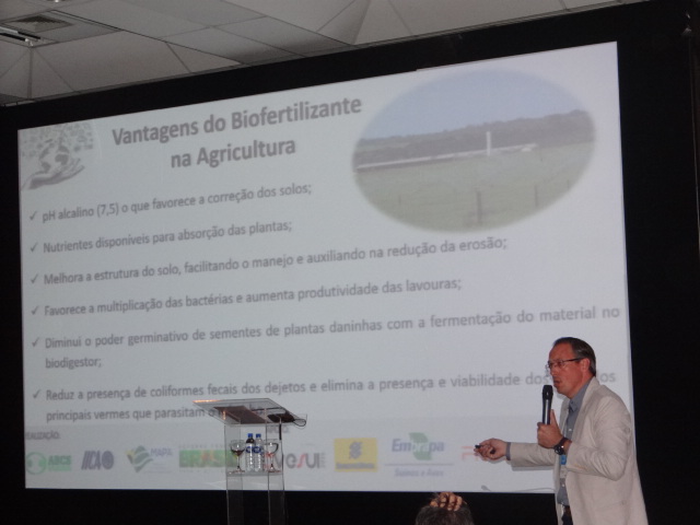 Santa Catarina13.jpg