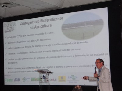 Santa Catarina13.jpg