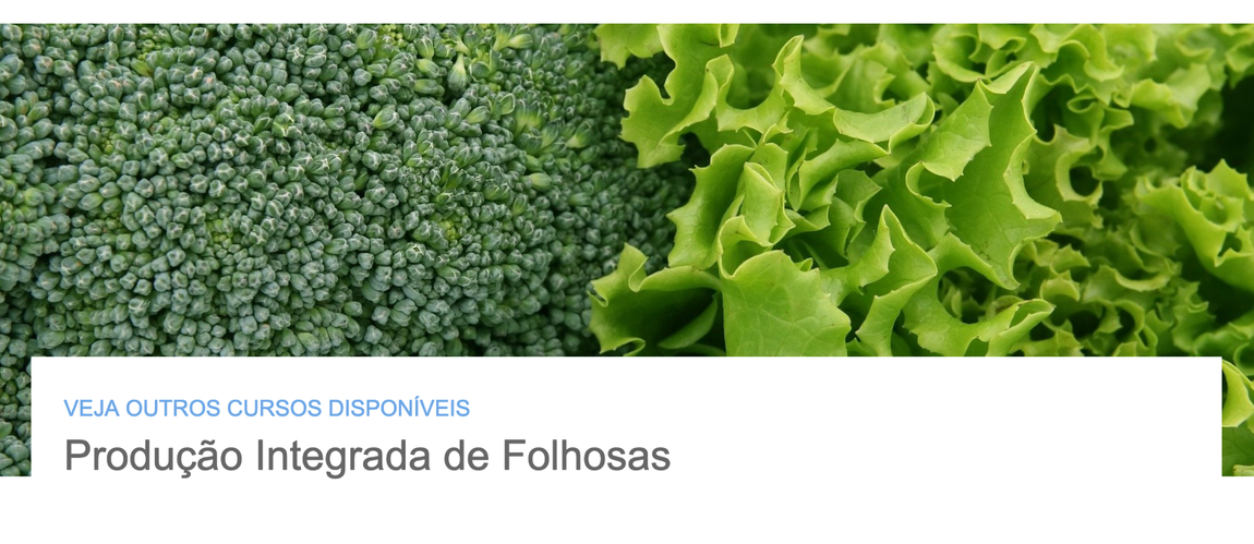 Curso de Produção Integrada de Folhosas