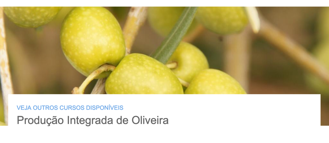 Curso de Produção Integrada de Oliveiras