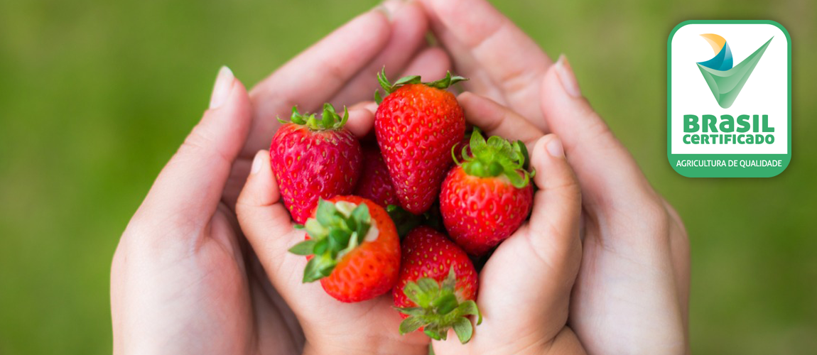 O Sistema de Produção Integrada é focado na adequação dos processos produtivos para a obtenção de produtos vegetais e de origem vegetal de qualidade e com níveis de resíduos de agrotóxicos e contaminantes em conformidade com o que estabelece a legislação sanitária, Clique aqui e saiba mais!