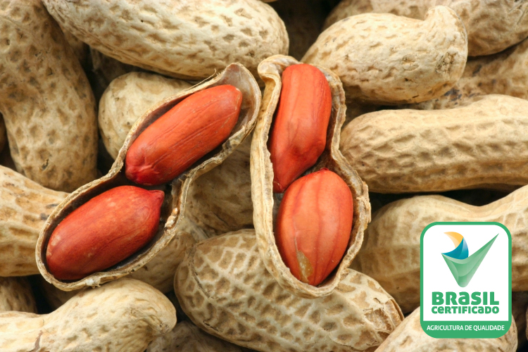 PI amendoim - boas práticas